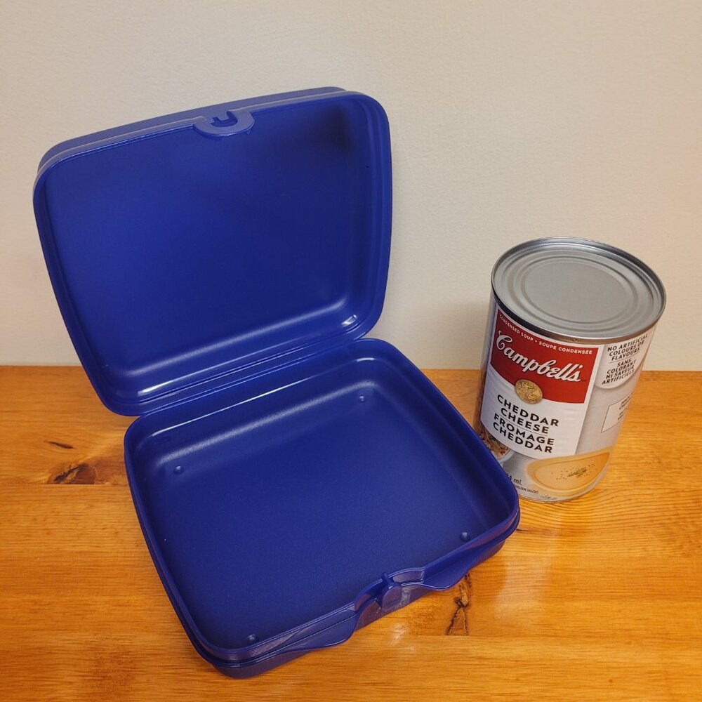 Tupperware Sandwich Keeper - Blue